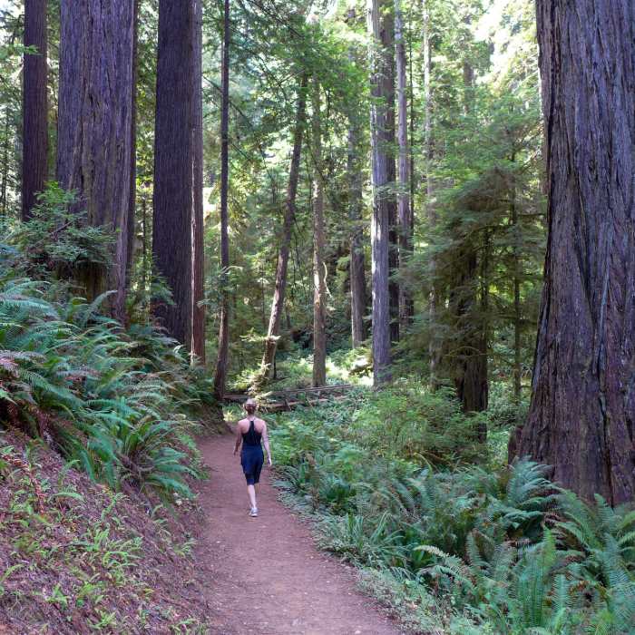 The James Irvine Trail is such a beautiful, well-maintained trail. Near James Irvine Trail