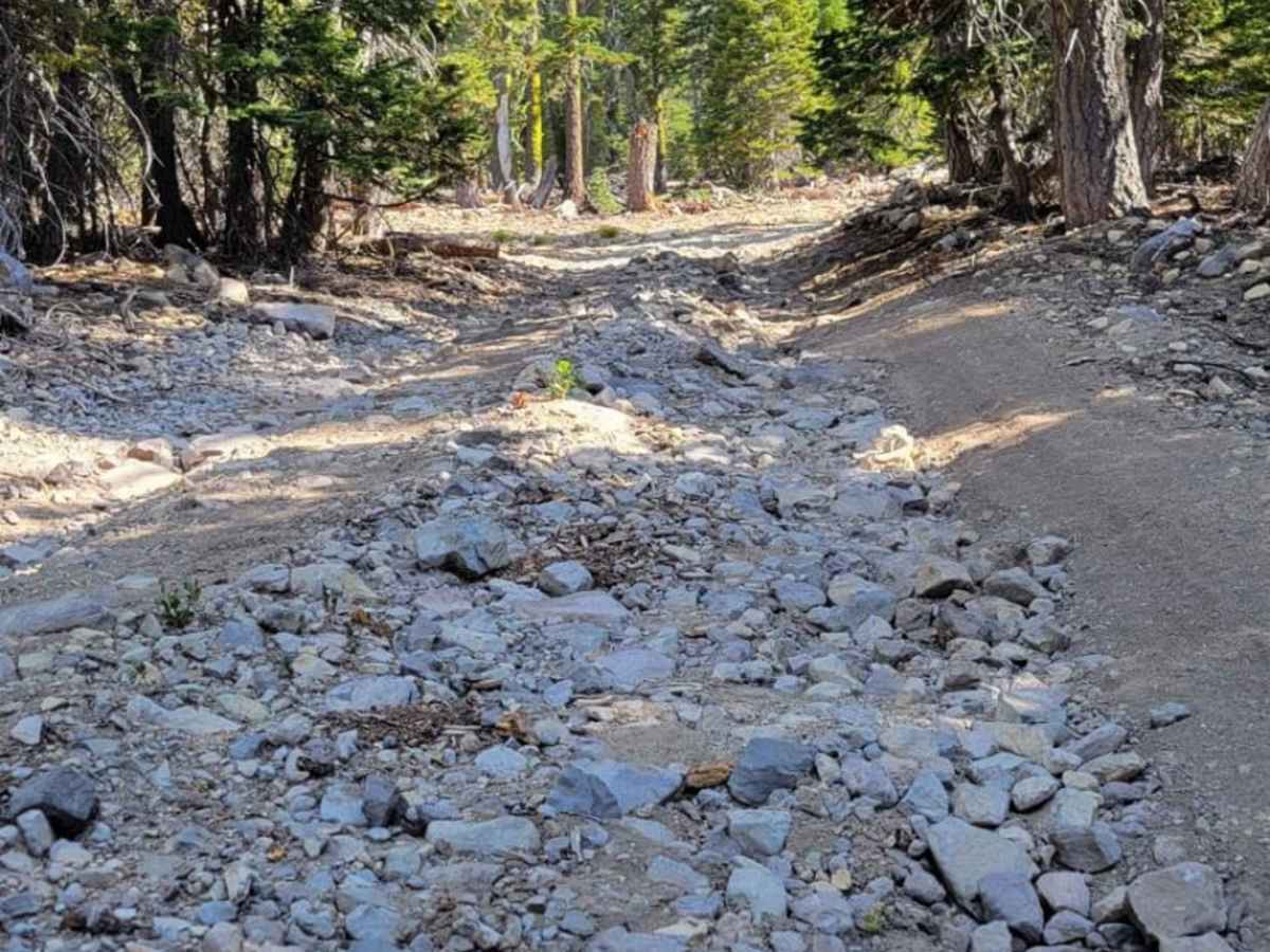 Dill Scenic Trail photo 5