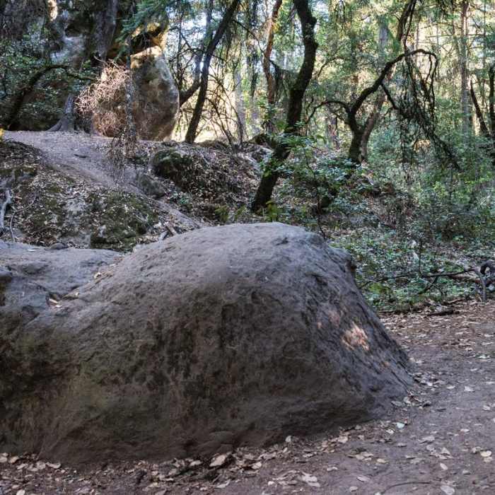 Near Saratoga Gap, Ridge Trail + Castle Rock Loop Hike