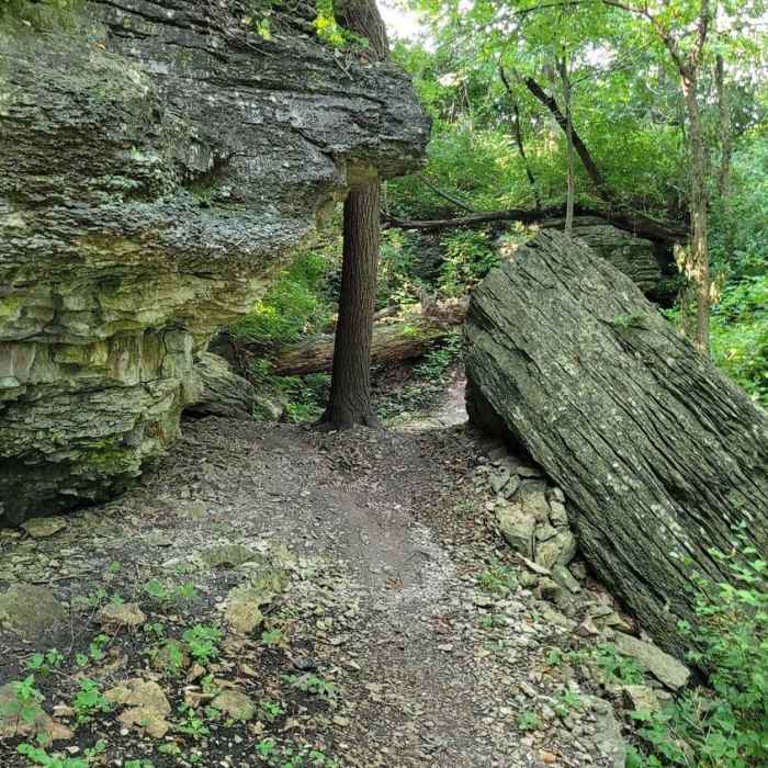 Trail cutting between limestone rocks. Near Wudchuck Run (Phases 7 & 8)
