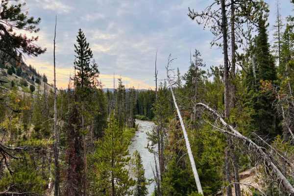 Lola Creek Trail