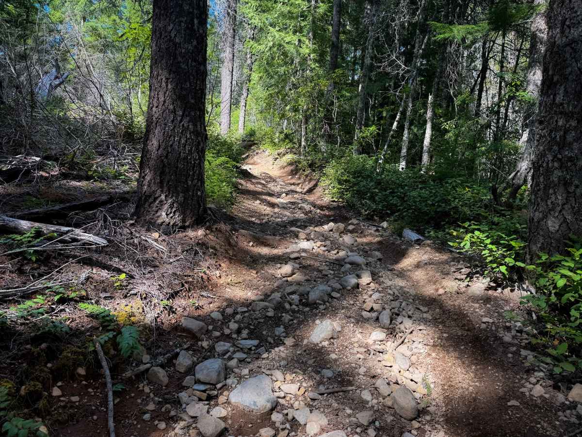 107 (South)  photo 2