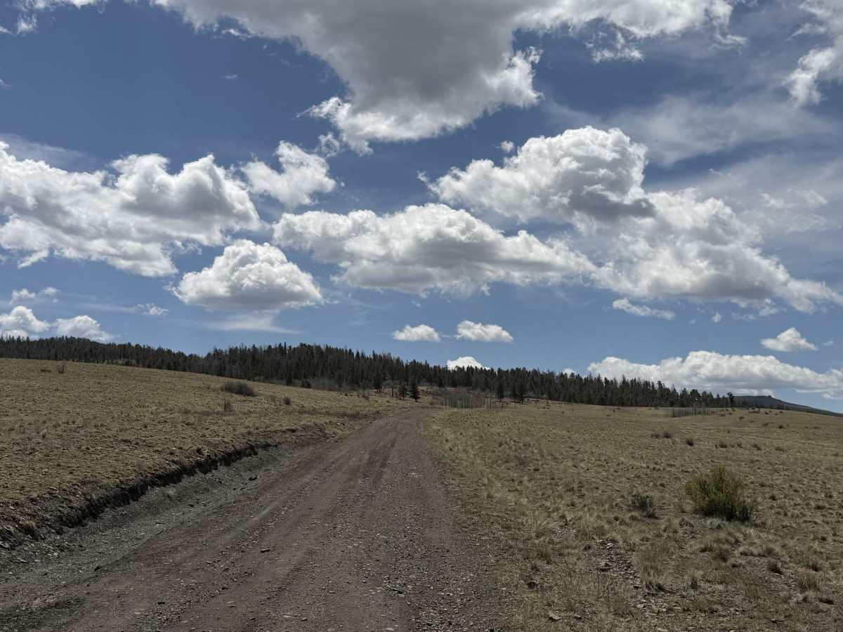 West Columbine Gulch Road photo 2