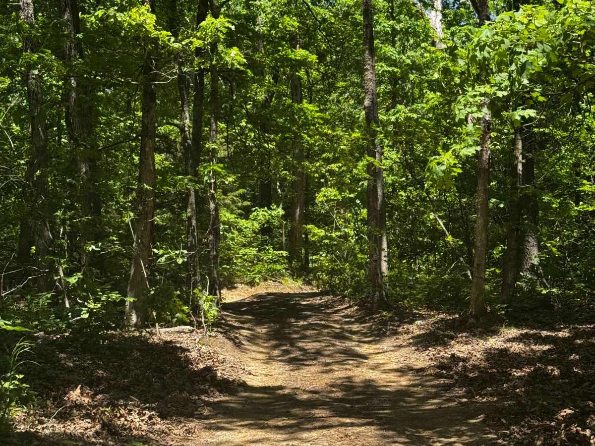 Inner Extra Credit trail photo
