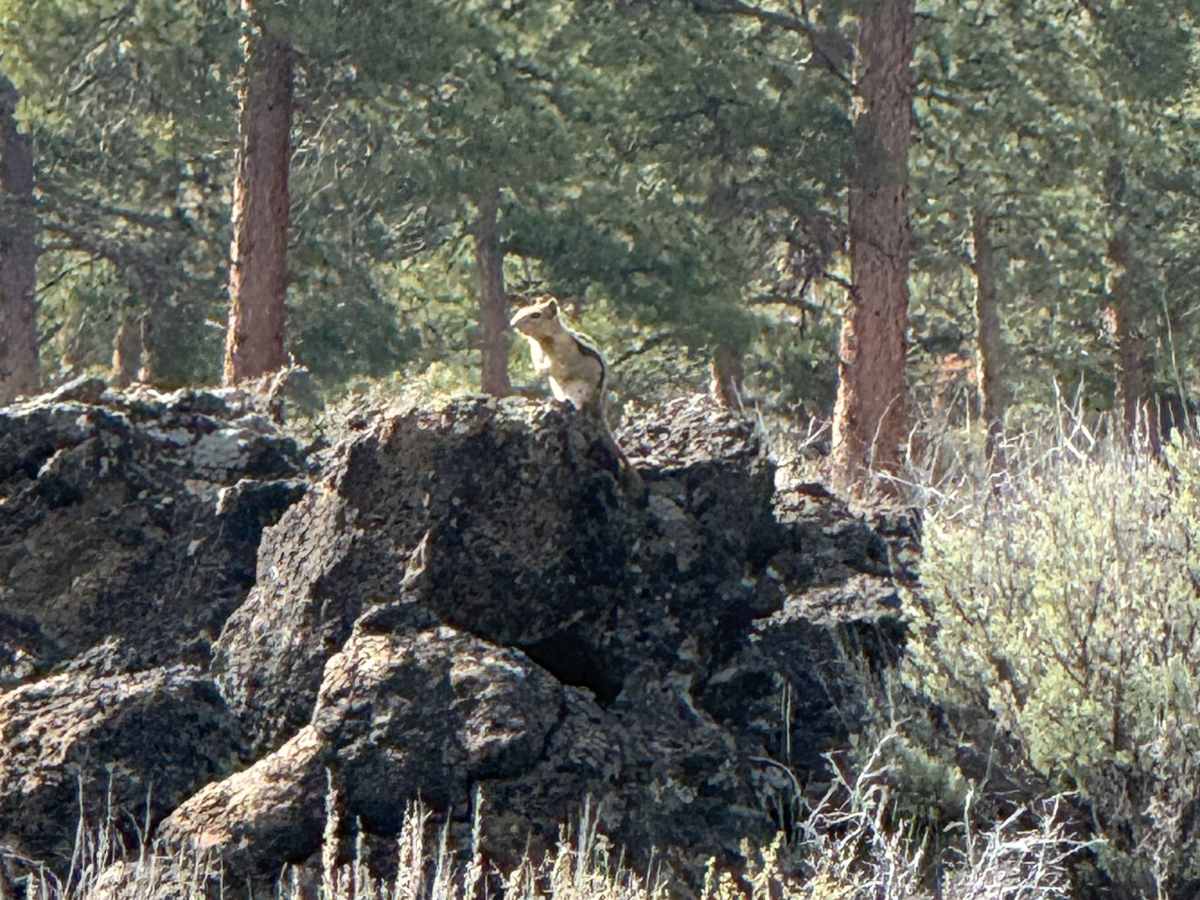 Backway to Hole-in-the-Ground from Flat Top photo 6