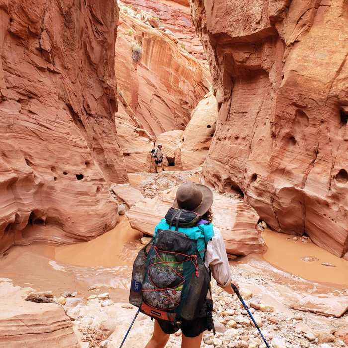 Near Little Death Hollow