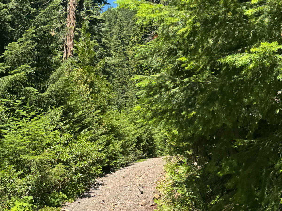 Rabbit Ears - OHV 25 Loop photo 5