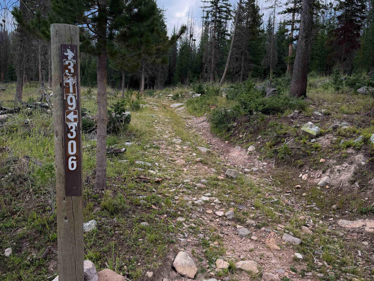 Larkspur - FS 319  trail photo