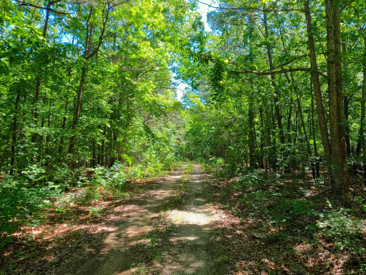 Bear Creek - FS 3715 photo 6