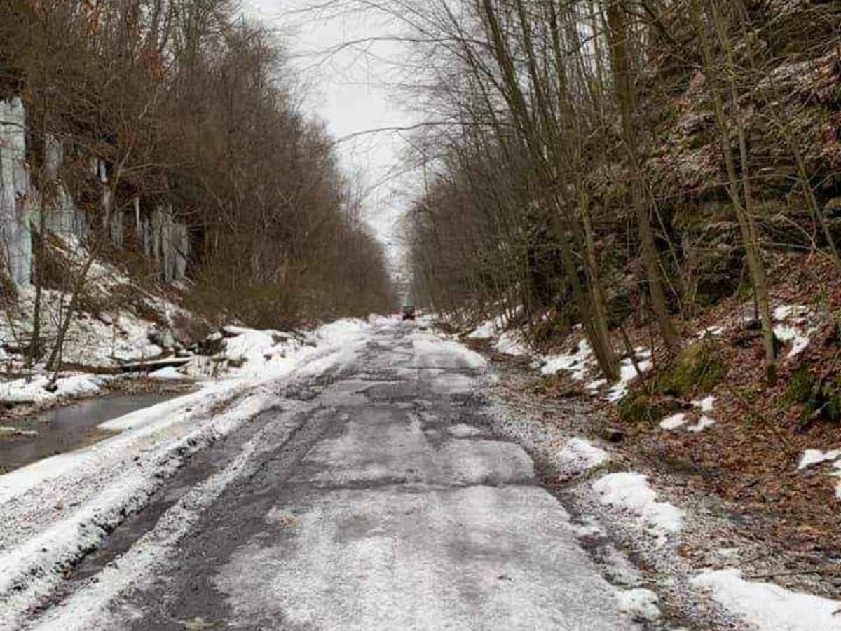 Piney Rail Trail photo 4