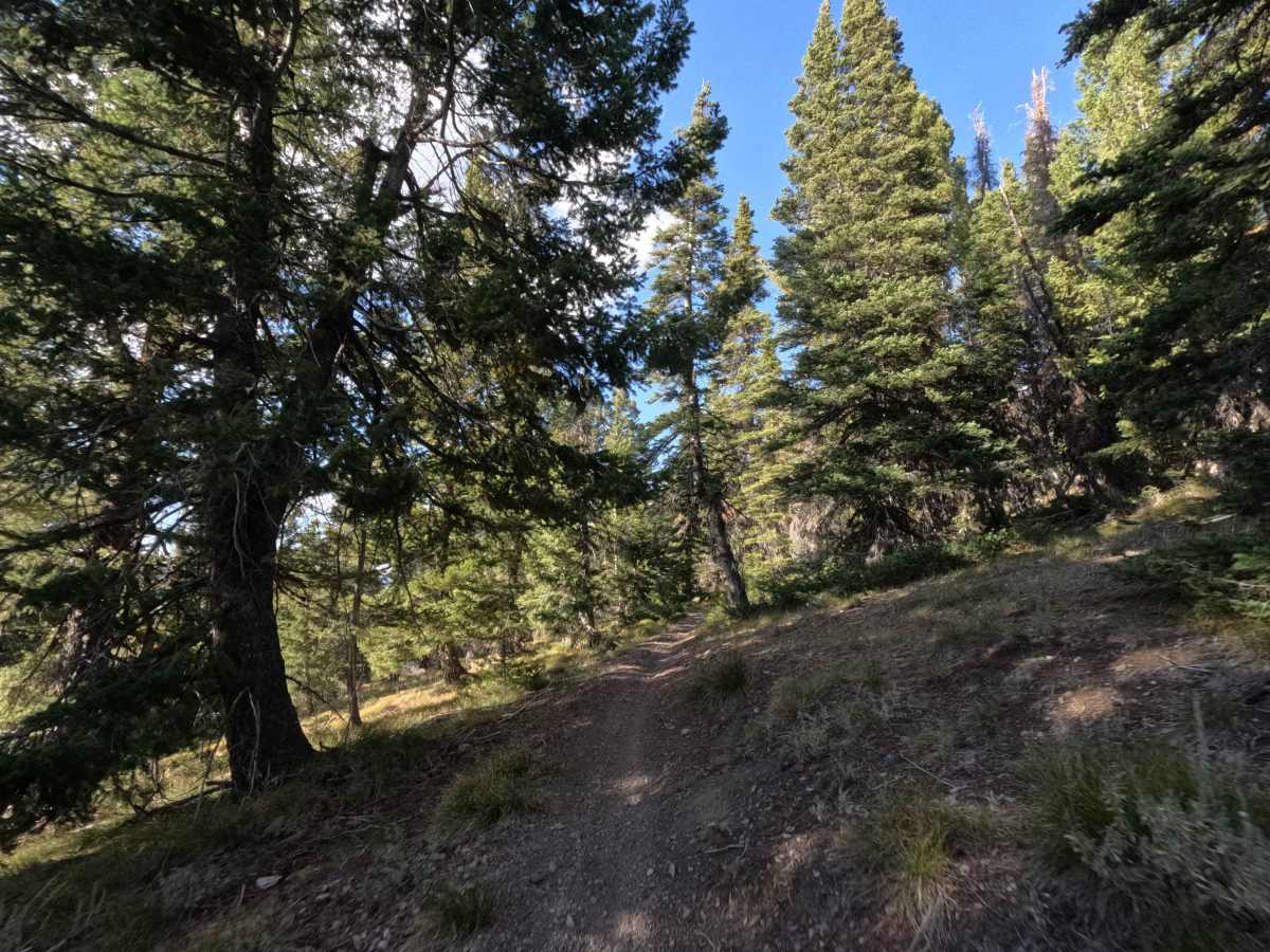 Middle Fork-South Fork 2 - FS 7199 photo 4