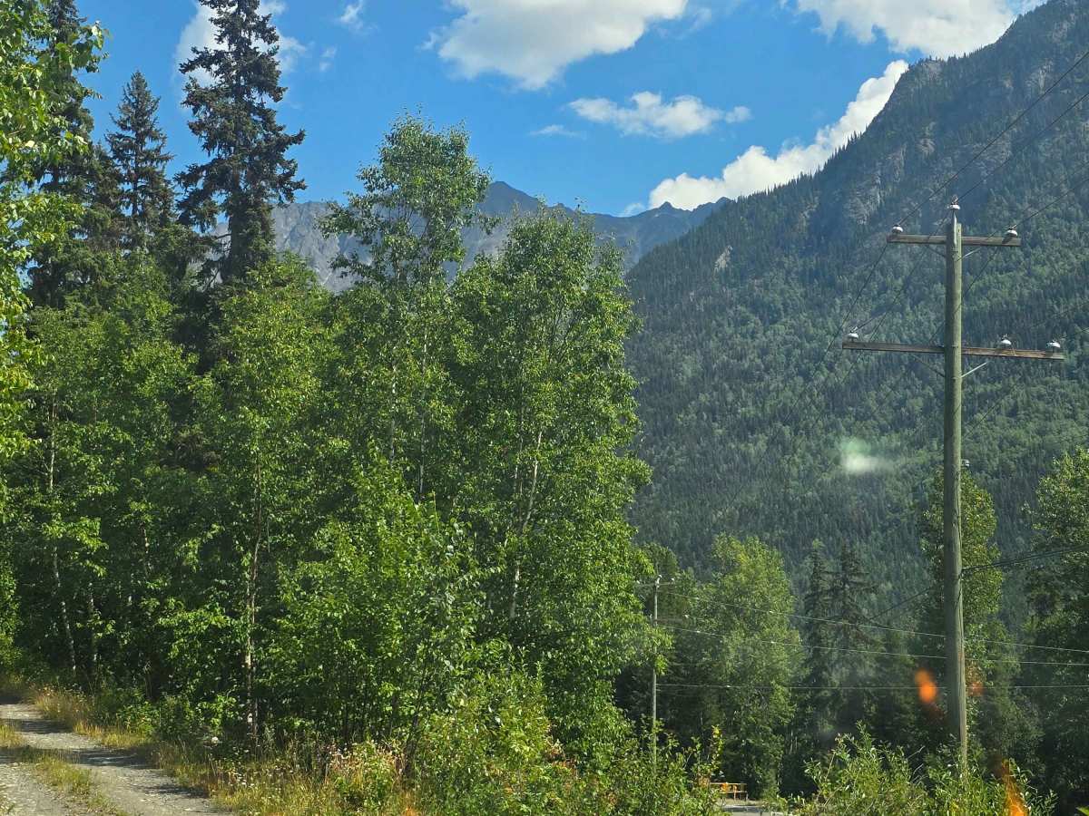 Seeley Lake Tower Road trail photo