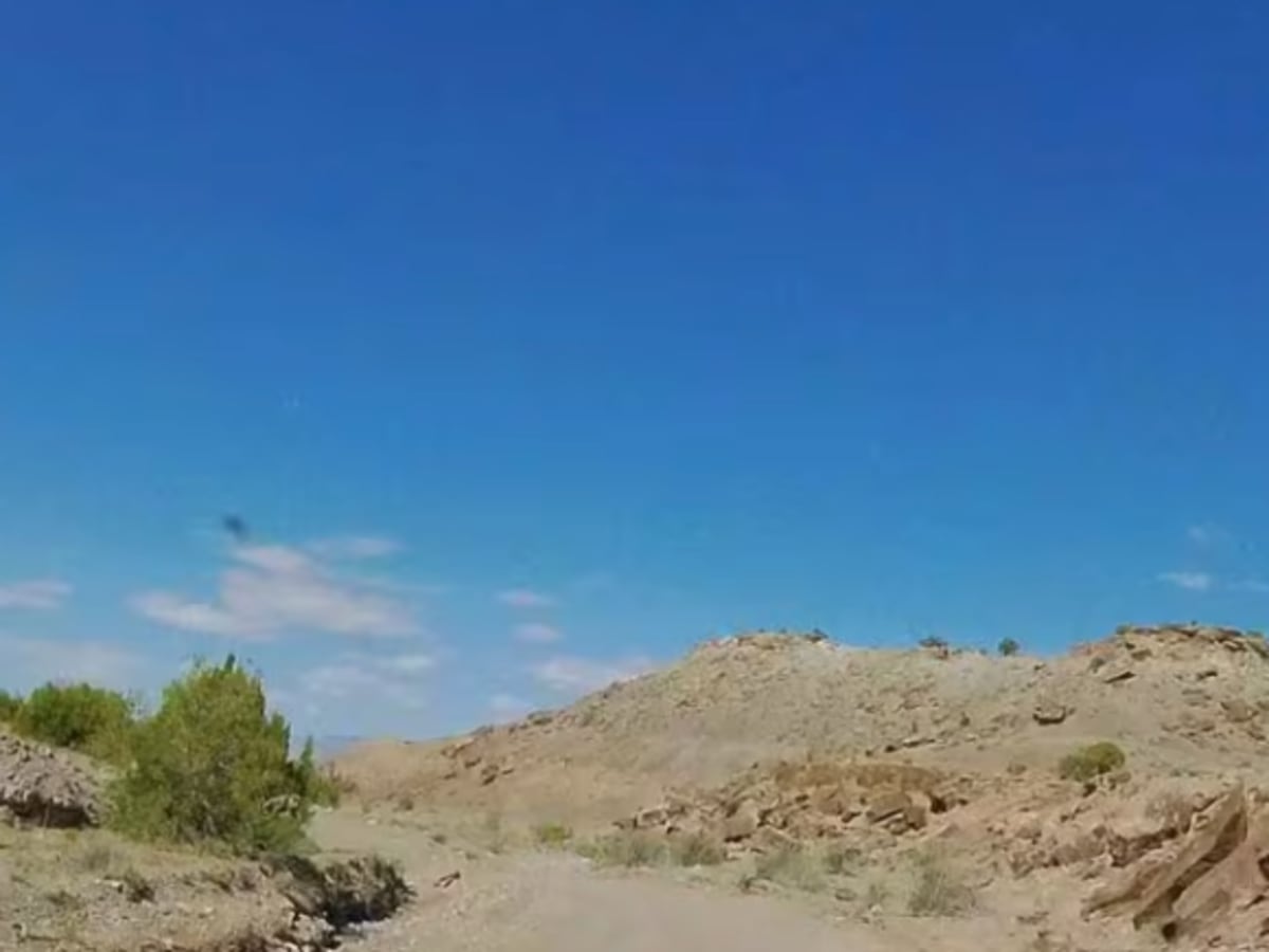 BLM 402 photo 2