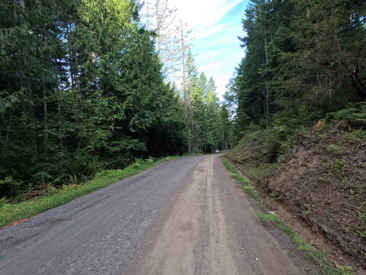 Little River Road photo 3