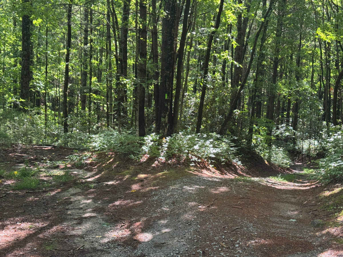 Three Forks - FS 75 photo 6