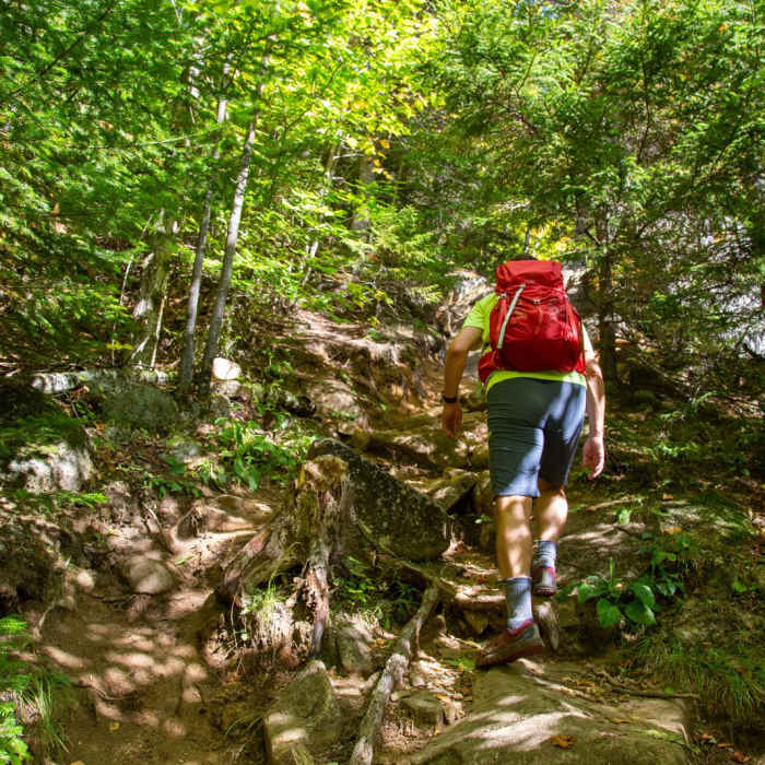 Near Pitchoff Mountain + Balanced Rocks Near Pitchoff Mountain + Balanced Rocks