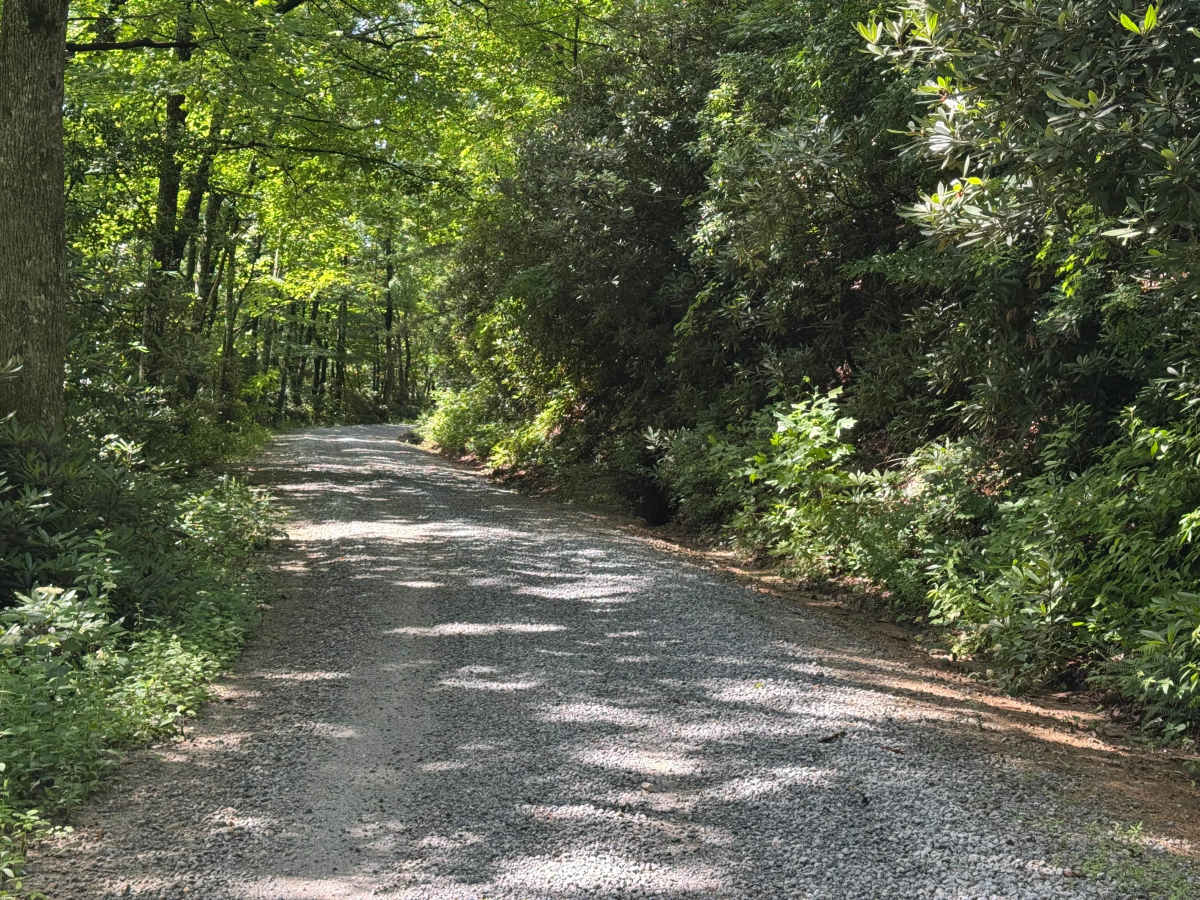 Three Forks - FS 75 trail photo