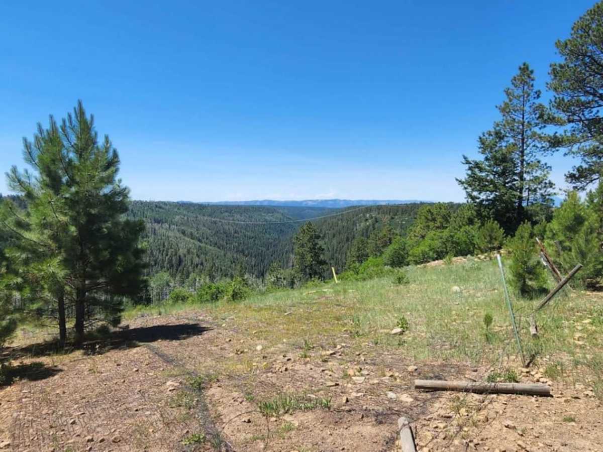 Spring Cr Pt Road trail photo