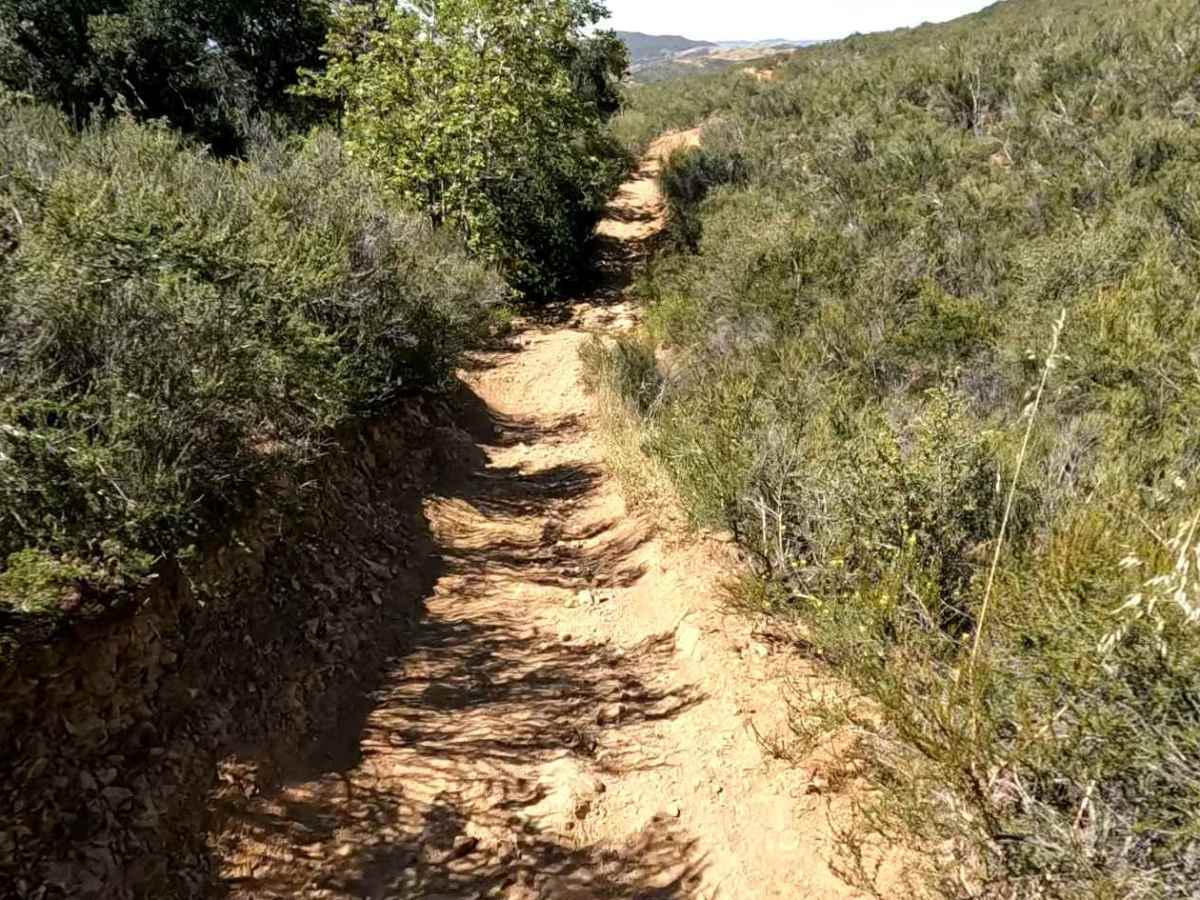 Knob OHV Trail photo 5
