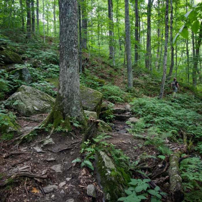Near Burnt Rock Mountain via Hedgehog Brook Trail Near Burnt Rock Mountain via Hedgehog Brook Trail