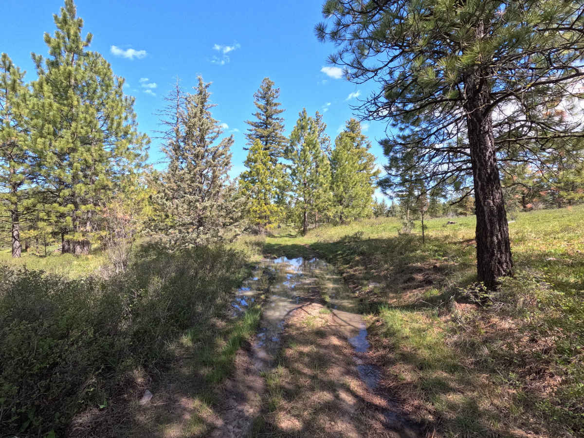 Trail 70 photo 2