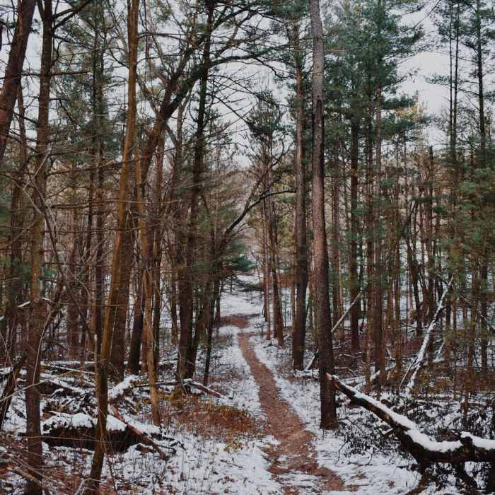 Near Provin Loop Hike
