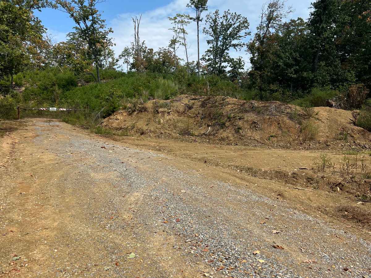 Shaw Branch Road photo 6