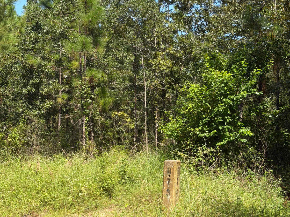Blackwater River R73 photo 2