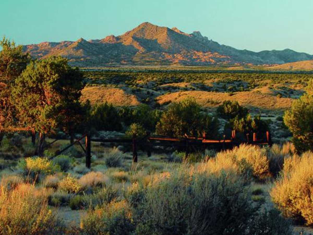Mojave Road, Central photo 2