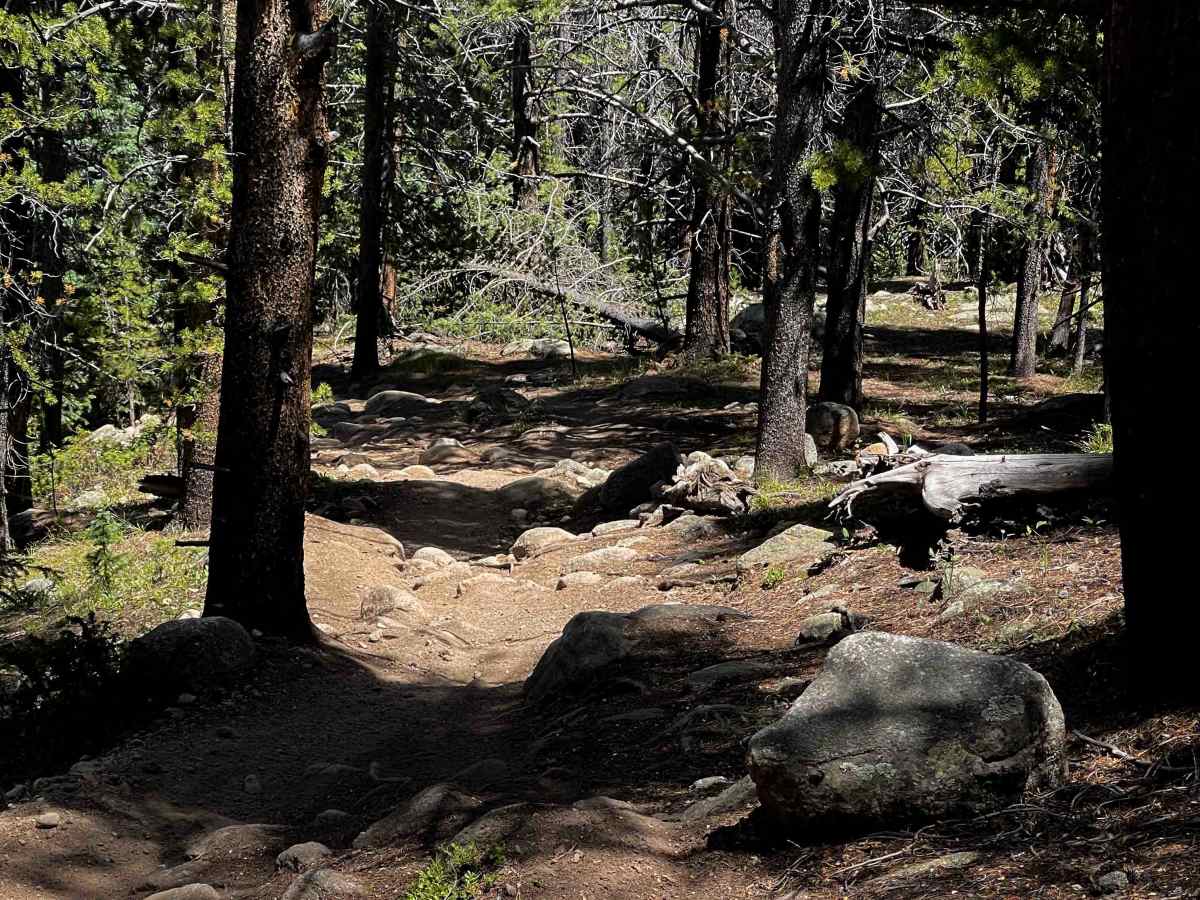 Lily Pond Trail photo 4