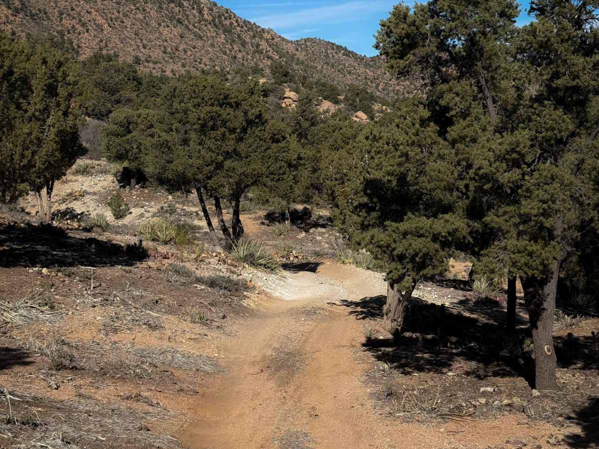 BLM Route 7125 photo 4