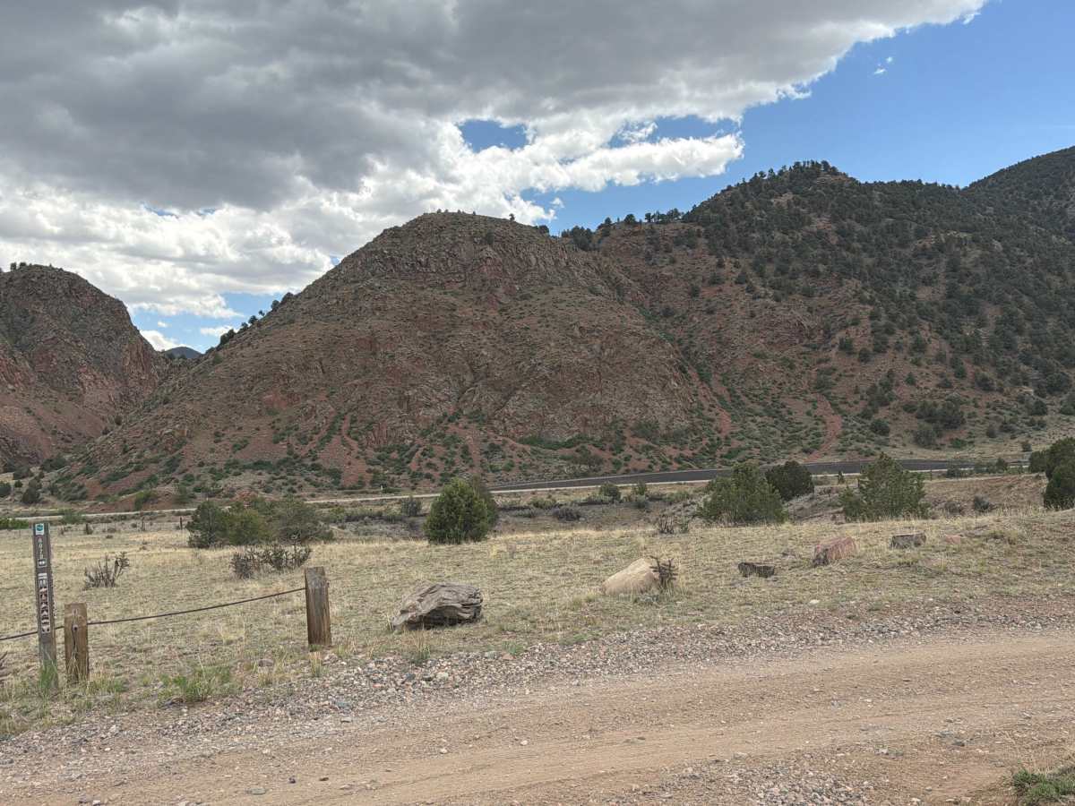 BLM 6020 photo 2