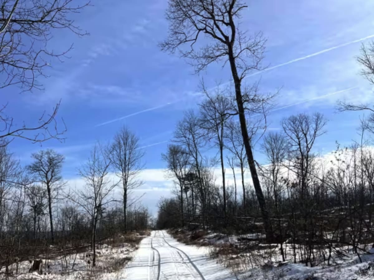 Coffer's Camp Trail photo 2