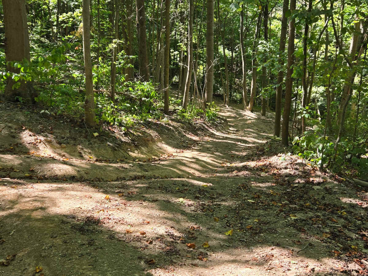 Trail 56 photo 3