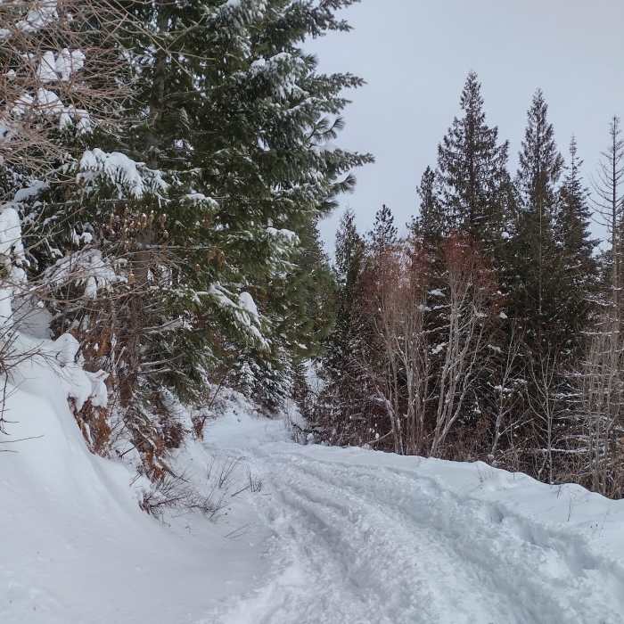 Near Timber Ridge Lane