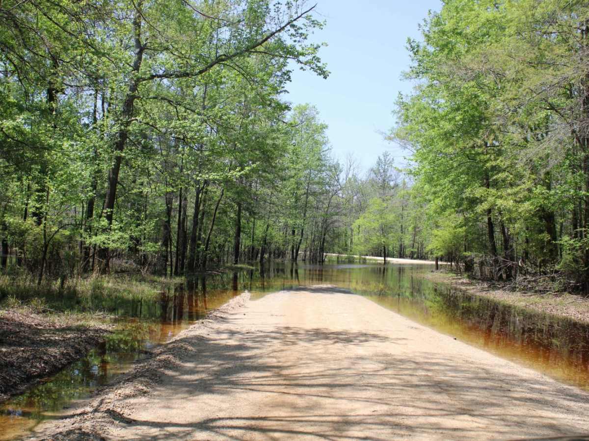 The Arkansas Overland Route - TrailHawk Loop - Section 17 photo 5