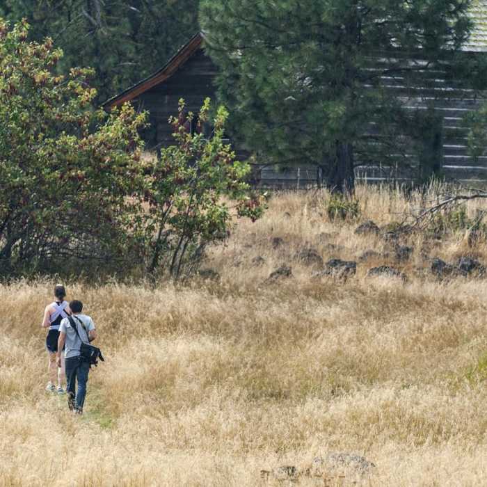 Near Willard Springs Loop Trail