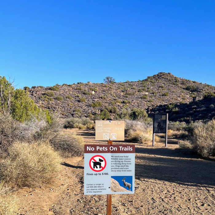 Near Ryan Campground to Lost Horse Mountain