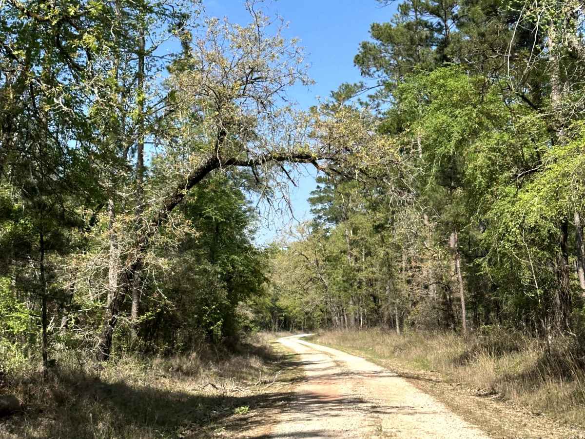 Elmer Smith Road photo 4