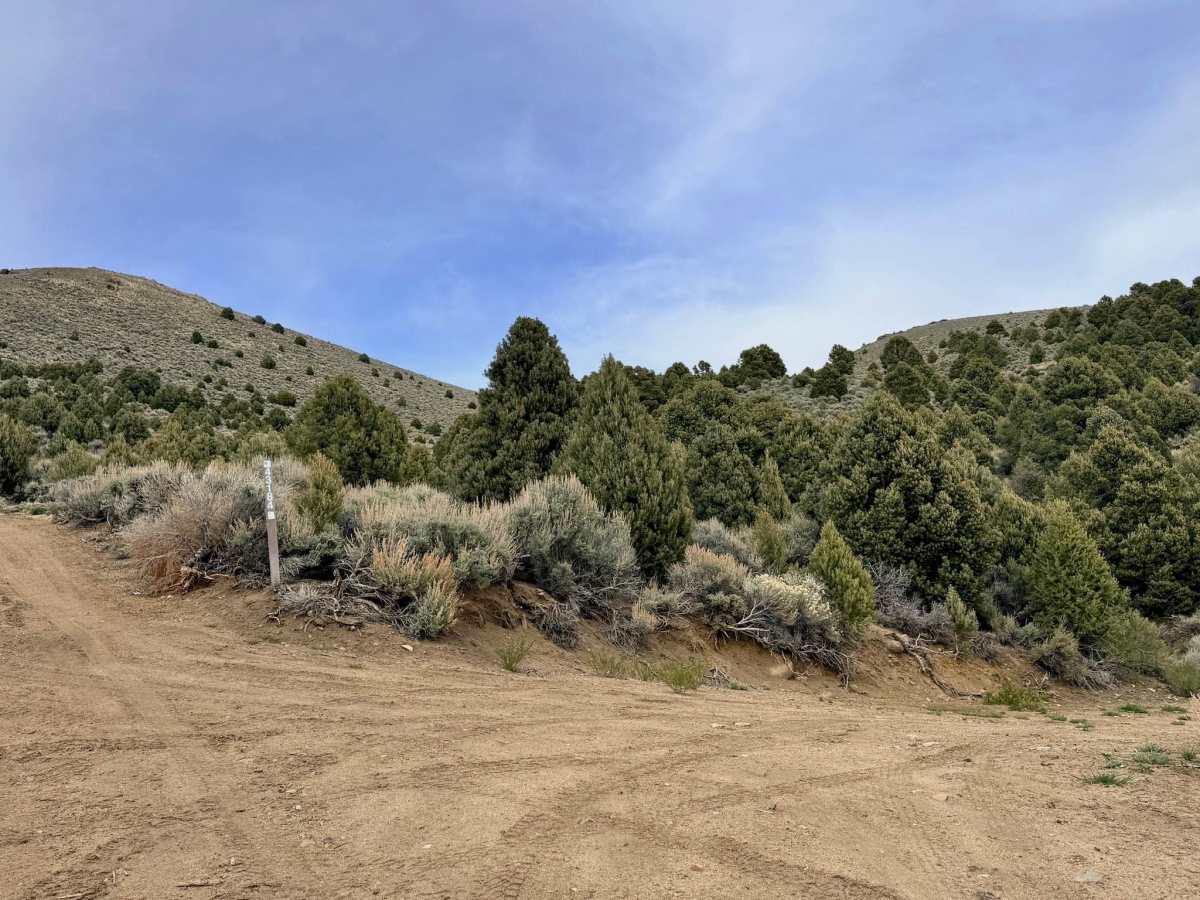 Willow Creek Loop (FS43493) photo 4