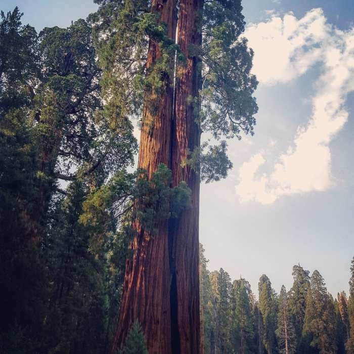 Near Bear Hill Trail