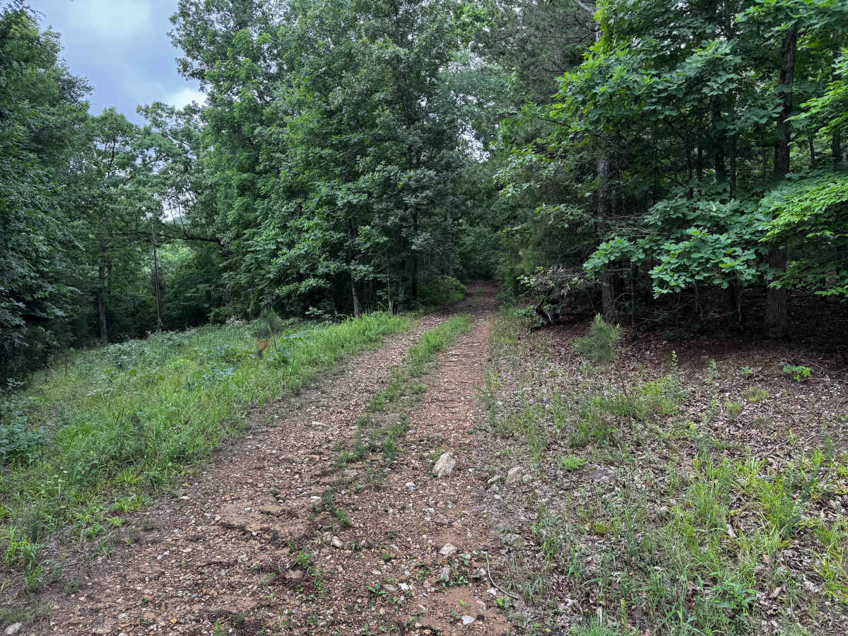 Mountain Ridge Home trail photo