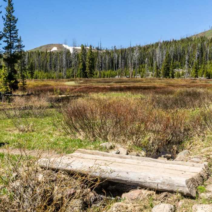 Near Cascade Lake Trail