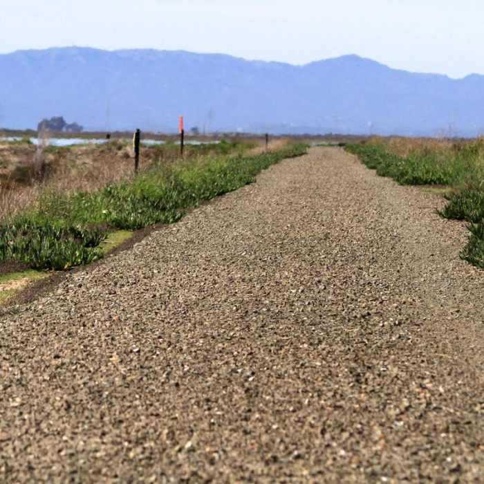 Near Napa River Bay Trail + Glass Beach