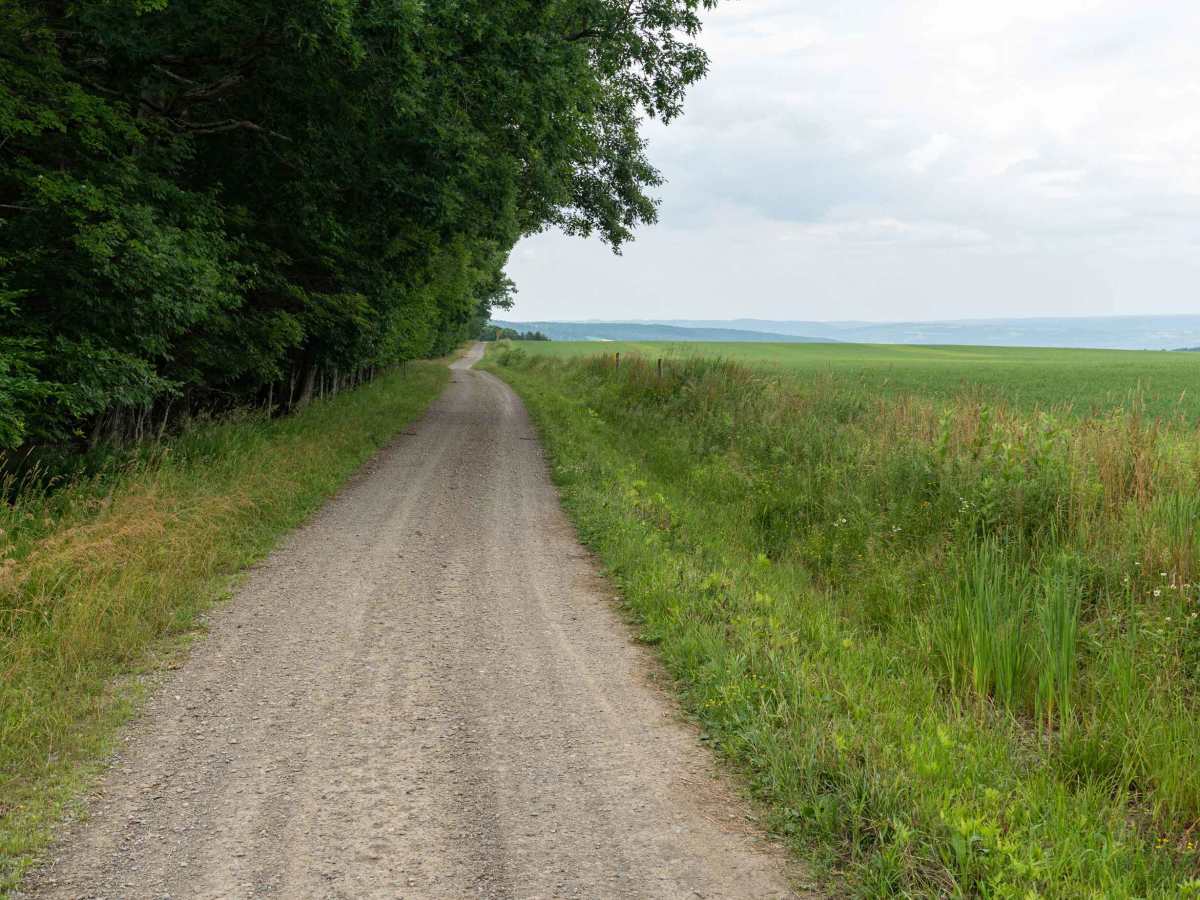 Blank Hill Road photo 6