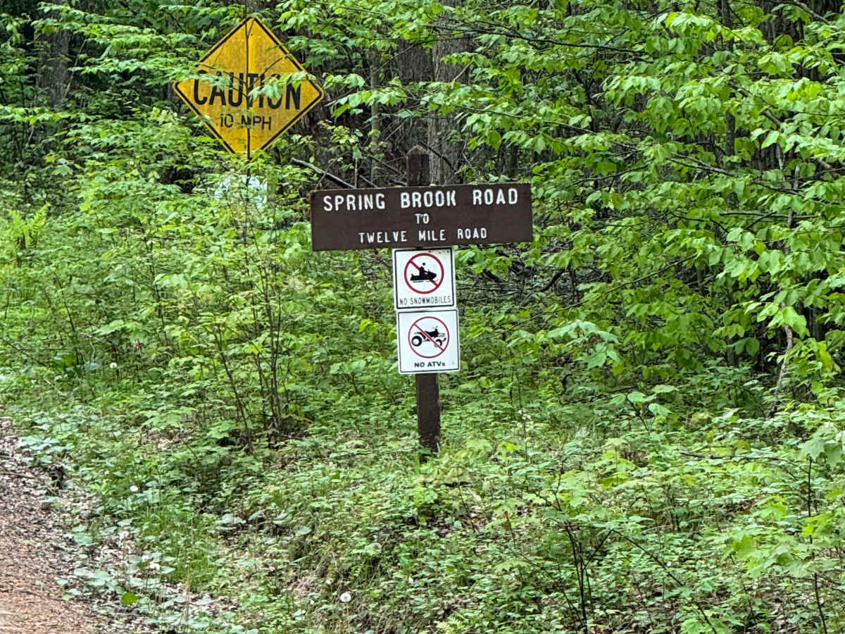 Spring Brook Road trail photo