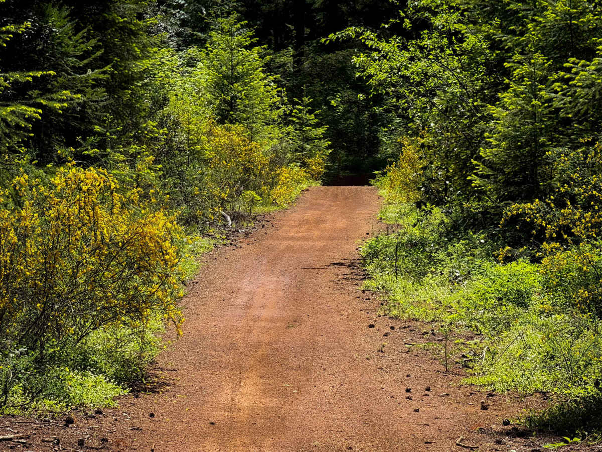 107 (North)  photo 6