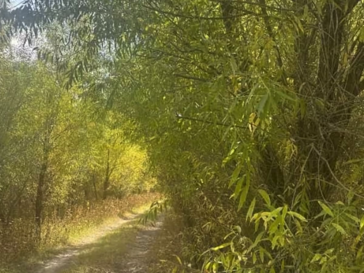 Rio Grande Trail photo 5