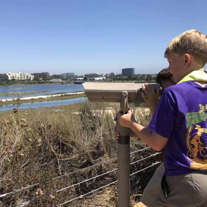 Near Mountains to Sea Trail