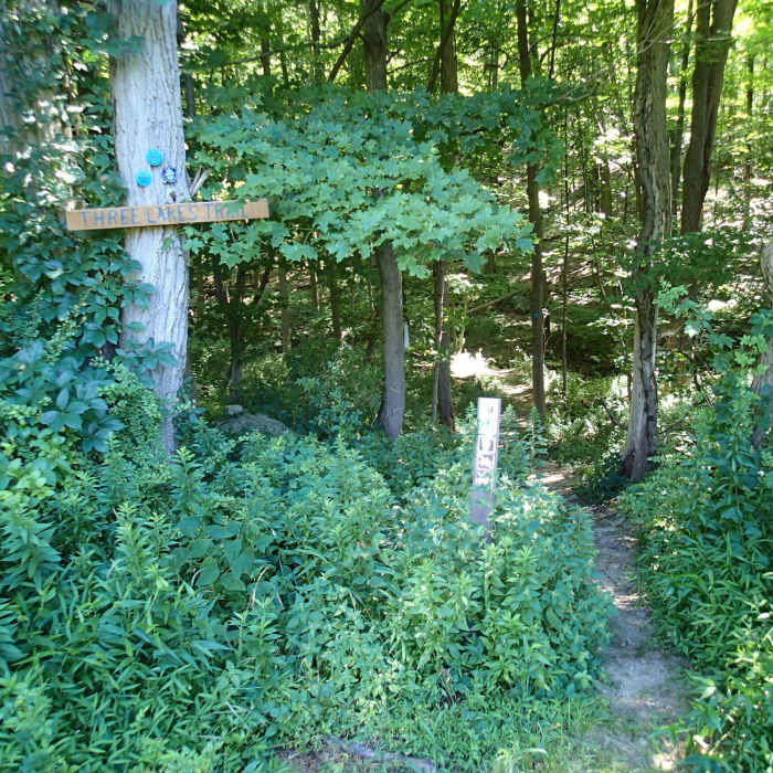 Near Three Lakes Trail - Appalachian Trail Loop